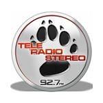 teleradiostereo